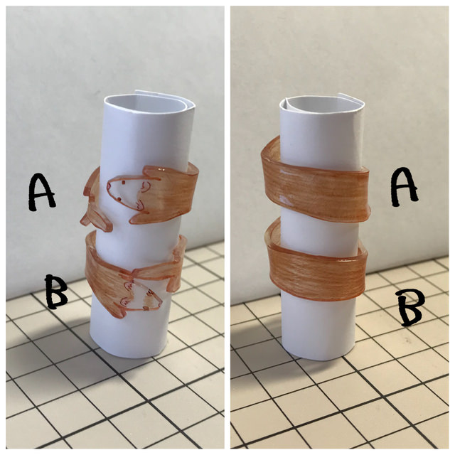 なみいたち フェレットリング